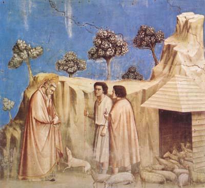 Joachim Takes Refuge in the Wilderness (mk08), GIOTTO di Bondone